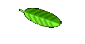 Unterseite